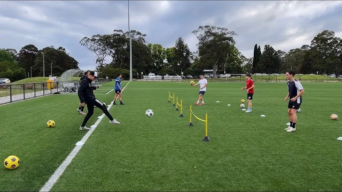 德甲球队训练场景，为开云体育做准备